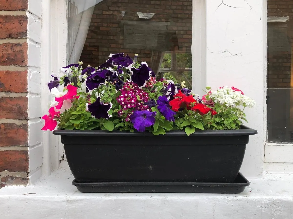 בלפסט Beersbridge Cottage Near Titanic Centre & Airport בריטניה