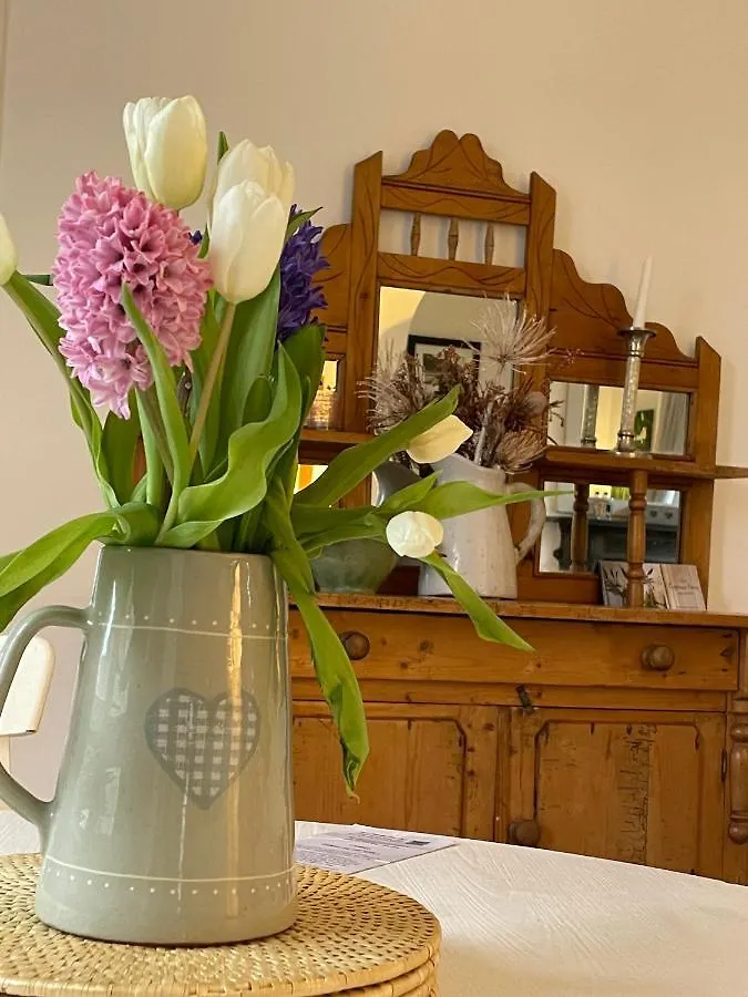 Beersbridge Cottage Near Titanic Centre & Airport Belfast